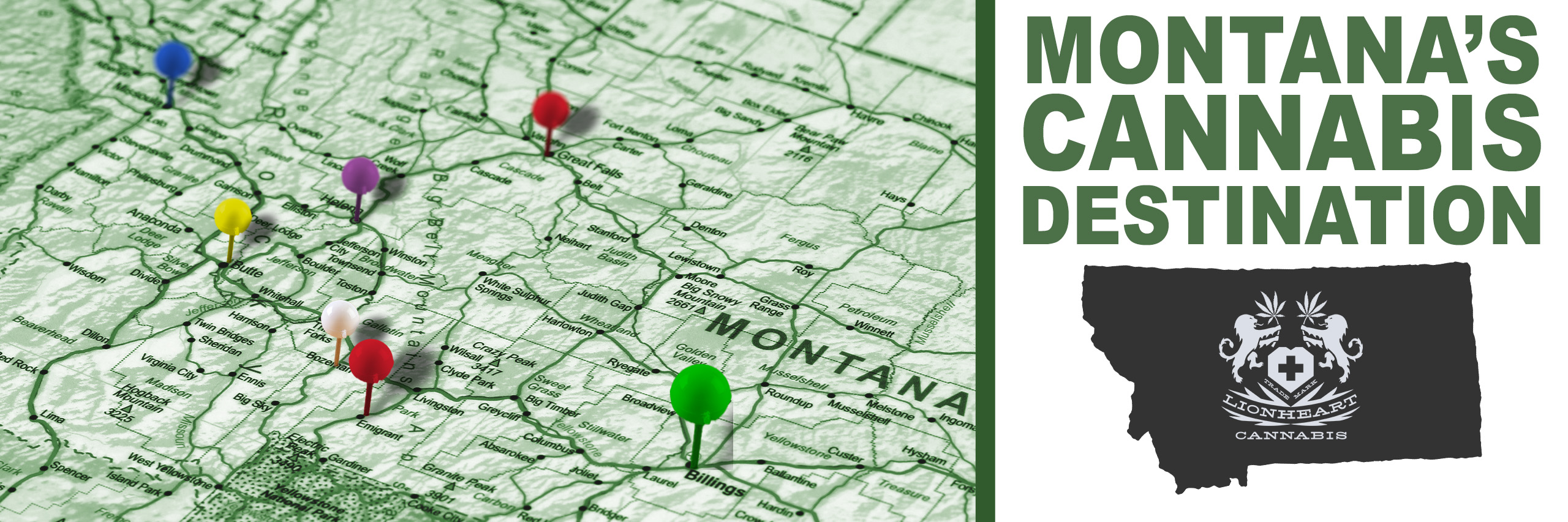 montanas cannabis destination banner